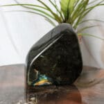 Labradoriet sculptuur nr. 4-3