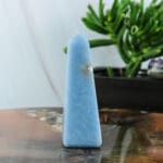 Angeliet punt nr. 4-3