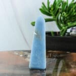 Angeliet punt nr. 4-4