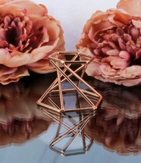 Bolhouder geometrie (rose)-2