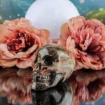 Rhodoniet schedel nr. 1 - Afbeelding 2