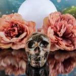 Rhodoniet schedel nr. 1-2