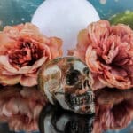 Rhodoniet schedel nr. 1-3