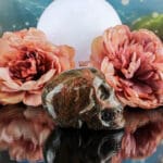 Rhodoniet schedel nr. 1-4