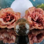 Rhodoniet schedel nr. 1-5