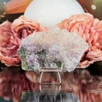 Amethist roos nr. 40