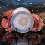 Agaatschijf nr. 2 - Afbeelding 2