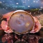 Agaatschijf nr. 3 - Afbeelding 2