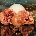 Fossiel koraal bol nr. 1-5