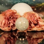 Fossiel koraal bol nr. 14