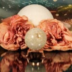 Fossiel koraal bol nr. 14-2