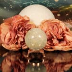 Fossiel koraal bol nr. 14-3