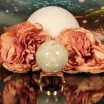 Fossiel koraal bol nr. 14-4