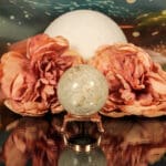 Fossiel koraal bol nr. 14-5