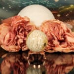 Fossiel koraal bol nr. 15-2