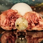 Fossiel koraal bol nr. 15-3