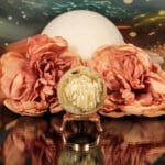 Fossiel koraal bol nr. 15-4