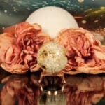 Fossiel koraal bol nr. 15-6