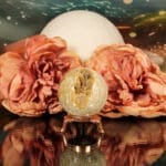 Fossiel koraal bol nr. 15 - Afbeelding 2