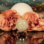 Fossiel koraal bol nr. 16 - Afbeelding 2