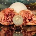 Fossiel koraal bol nr. 16-2