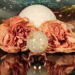 Fossiel koraal bol nr. 16-3