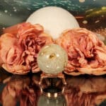 Fossiel koraal bol nr. 16-5