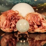 Fossiel koraal bol nr. 16-6