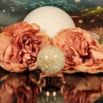 Fossiel koraal bol nr. 17