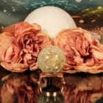 Fossiel koraal bol nr. 17-3