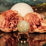 Fossiel koraal bol nr. 17-4