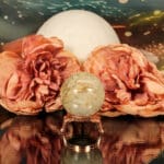 Fossiel koraal bol nr. 17-5