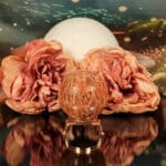 Fossiel koraal bol nr. 2