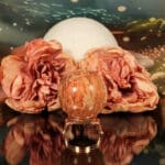 Fossiel koraal bol nr. 2-2