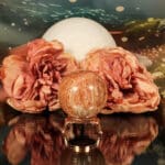 Fossiel koraal bol nr. 2-3