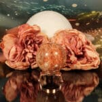 Fossiel koraal bol nr. 2-4