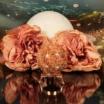 Fossiel koraal bol nr. 2-5