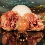 Fossiel koraal bol nr. 2-6