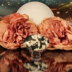 Sneeuwvlok obsidiaan handsteen nr. 7-2