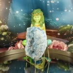 Celestien cluster nr. 1-2