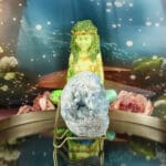 Celestien cluster nr. 1-5