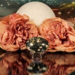 Sneeuwvlok obsidiaan handsteen nr. 5-2