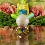 Fossiel koraal bol nr. 18