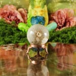 Fossiel koraal bol nr. 18-2