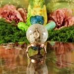 Fossiel koraal bol nr. 18-4