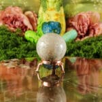 Fossiel koraal bol nr. 18-5