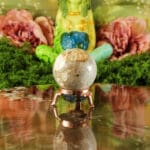 Fossiel koraal bol nr. 18-6