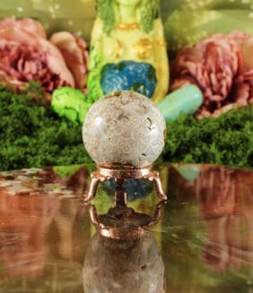 Fossiel koraal bol nr. 20