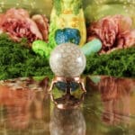 Fossiel koraal bol nr. 22 - Afbeelding 2