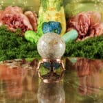 Fossiel koraal bol nr. 22-2